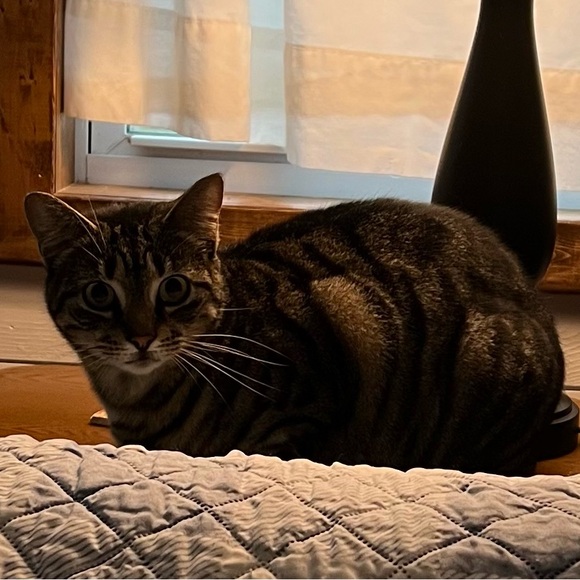 💁🏻♀️ HI!! 👸🏻 - Picture 4 of 16